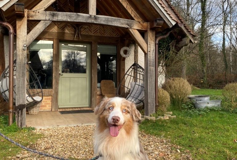 Doggy – Le Moulin de Presly – Presly
