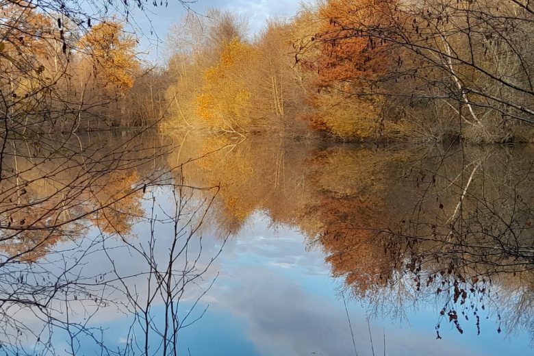 Etang a l&rsquo;automne