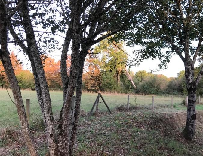 Extérieur – Gîte authentique à la campagne – La Chapelle d’Angillon