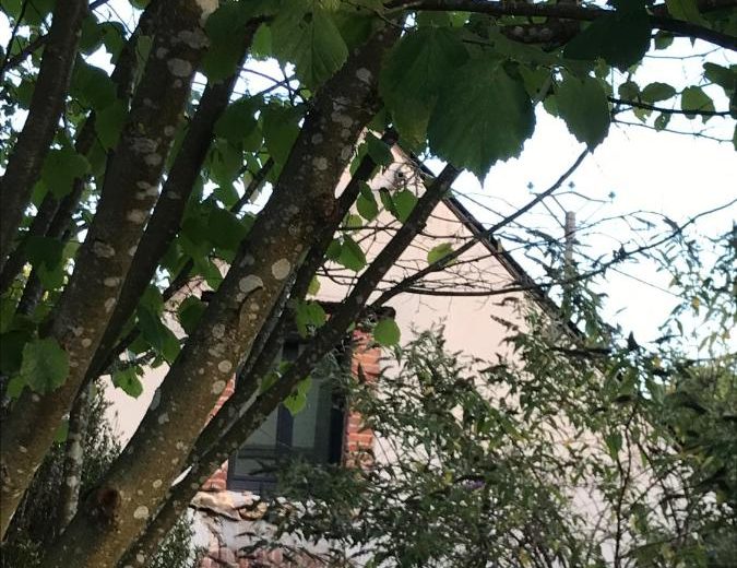 Extérieur 2 – Gîte authentique à la campagne – La Chapelle d’Angillon