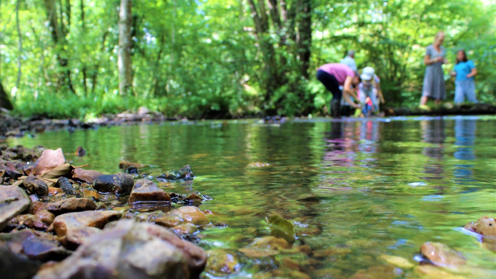 Des petites bêtes de Sologne, étonnantes…