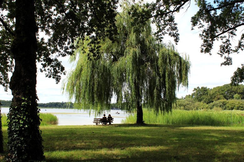 Photos – Etang de Puits