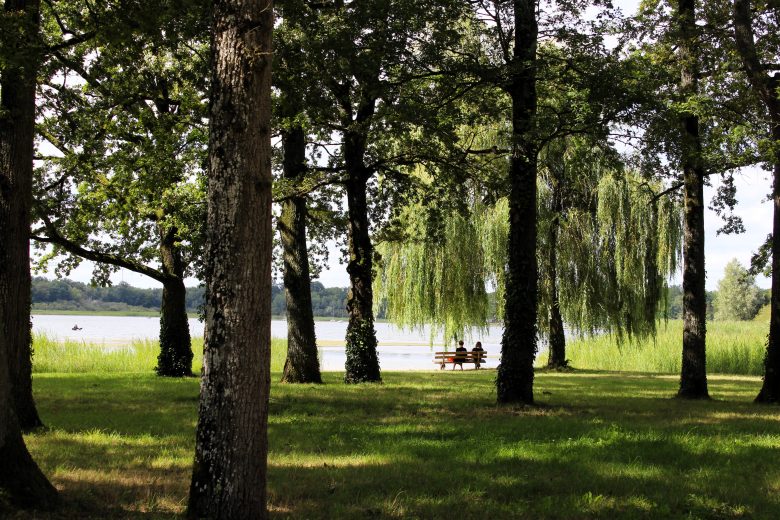 Photo – Etang du Puits