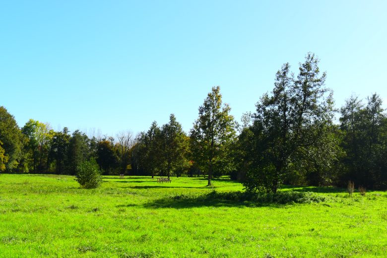 Parcours de santé 2024©Mairie (1)