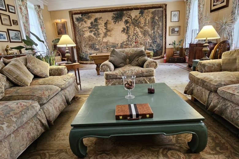 Salon vue d&rsquo;ensemble