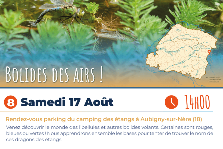 affiche_estivales_lboidesdesairs