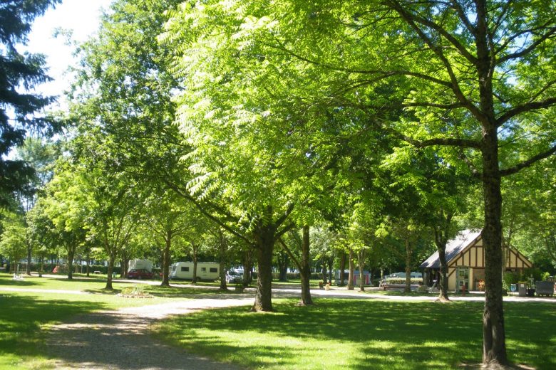 camping paradis nature