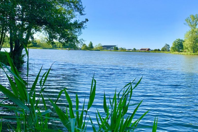 Photo des étangs d’Aubigny-sur-Nère