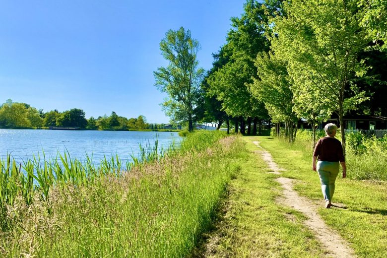 Photo des étangs d’Aubigny-sur-Nère
