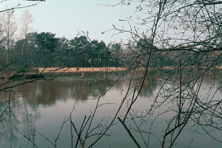Lac des armées à Méry-es-bois