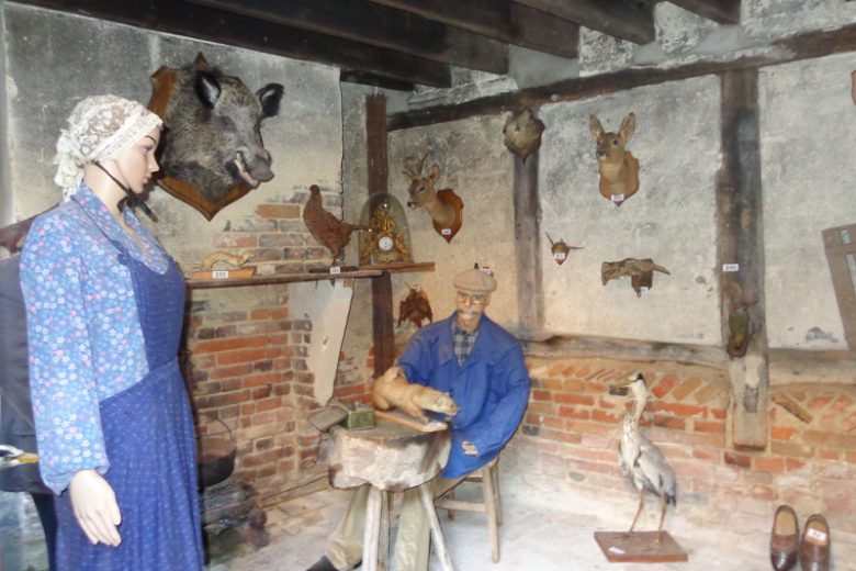 maisondelaforetbrinon1