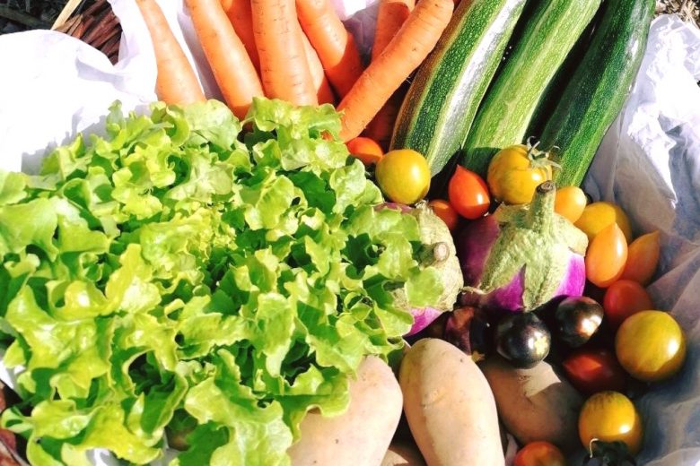 panier de légume isa-groupe