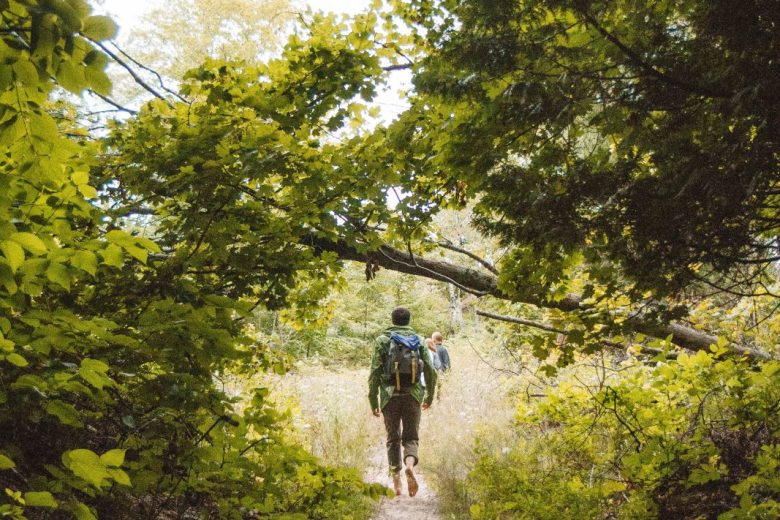 Randonnée en forêt